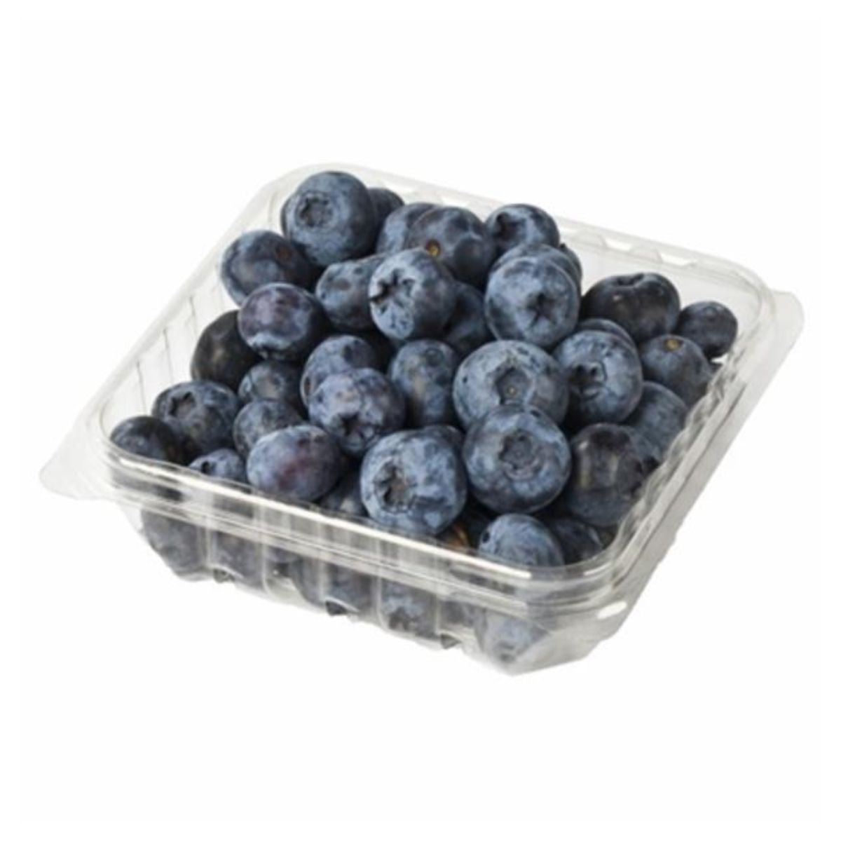 Blueberries in a Blueberrey - 125g container on a white background.