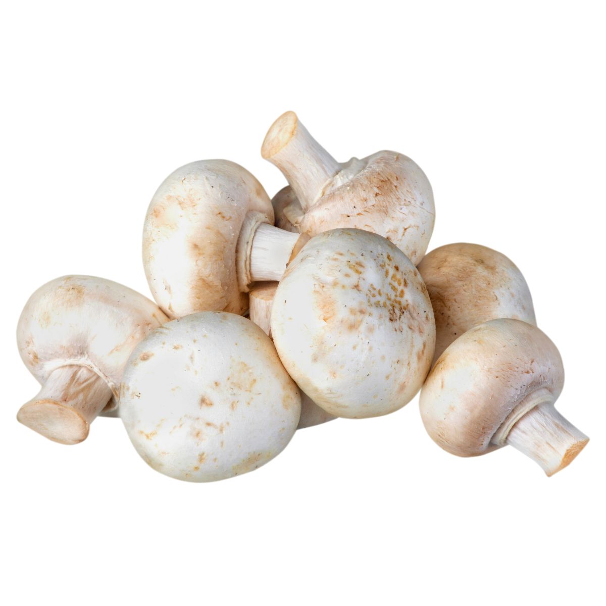 A pile of Mushroom Pre-Packed - 310g isolated on a white background. A pile of Mushroom Pre-Packed - 310g isolated on a white background.