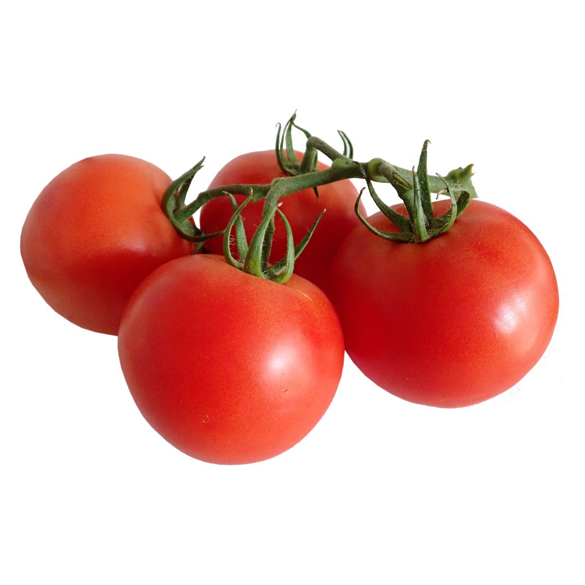 Vine Tomato - Loose - Continental Food Store
