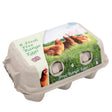A carton of CFS - Large Free Range Eggs - 6 Pack on a white background.