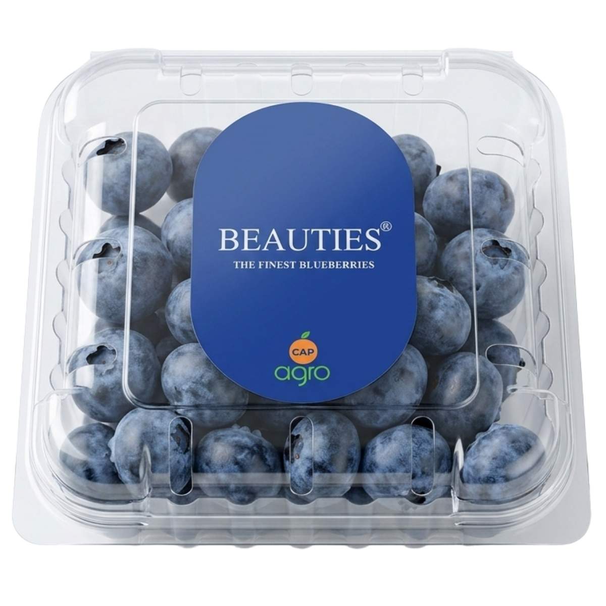 Enjoy sweet Beauties - Finest Blueberries (125g) in a clear plastic container with a blue circular label, perfect for convenient UK blueberry delivery.