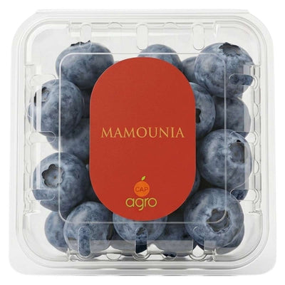 A clear plastic container with 125g of fresh blueberries, labeled "Mamounia - Finest Blueberries" by the Mamounia brand.