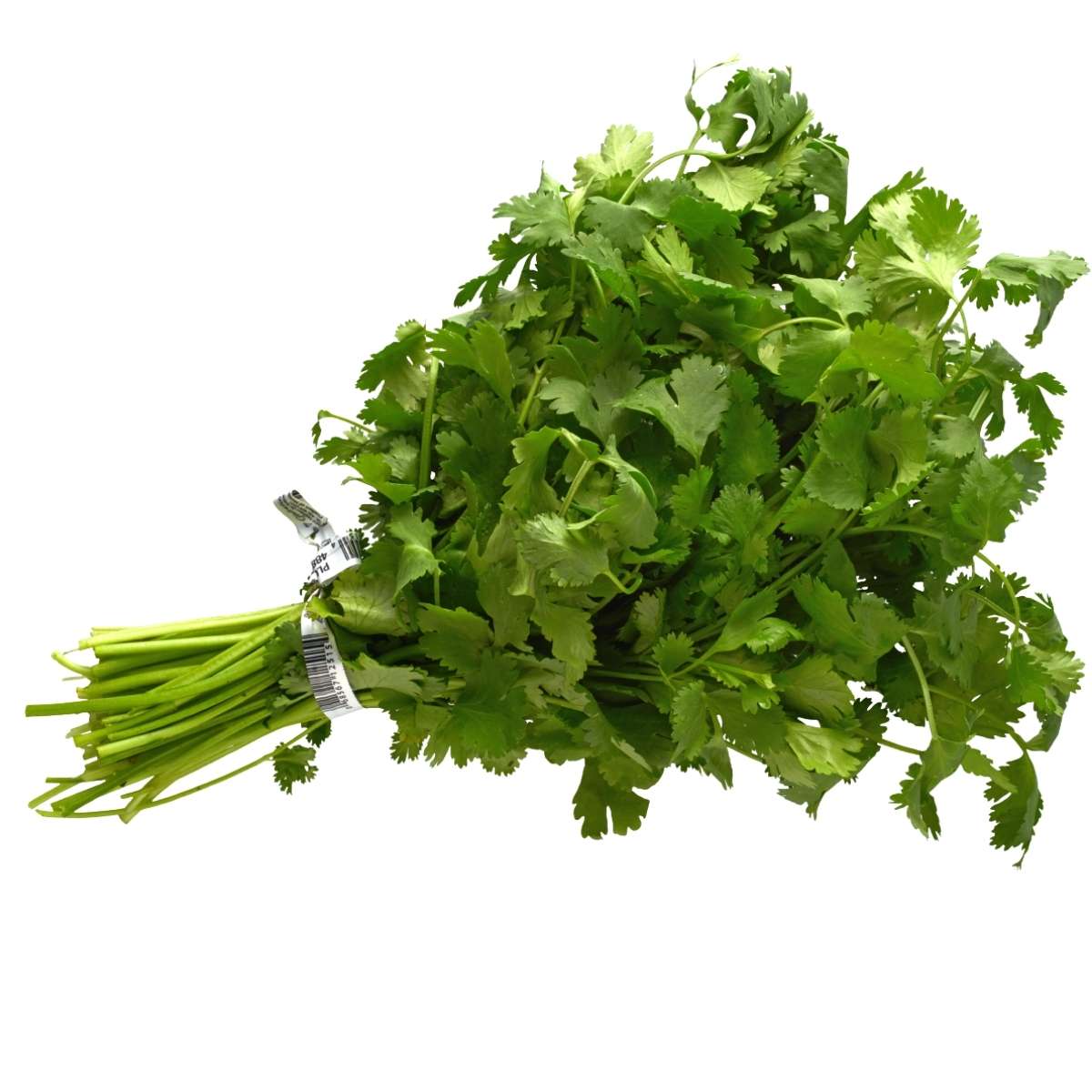 A bunch of Fresh Coriander - Each from Continental Food Store, featuring green leaves and stems secured with a twist tie, displayed against a white background.
