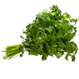 A bunch of Fresh Coriander - Each from Continental Food Store, featuring green leaves and stems secured with a twist tie, displayed against a white background.