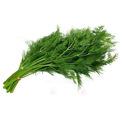 Fresh Dill - Each from Continental Food Store, held together with an orange rubber band and isolated on a white background, highlights its aromatic flavor.