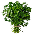 Bunch of fresh green parsley tied with twine on a white background