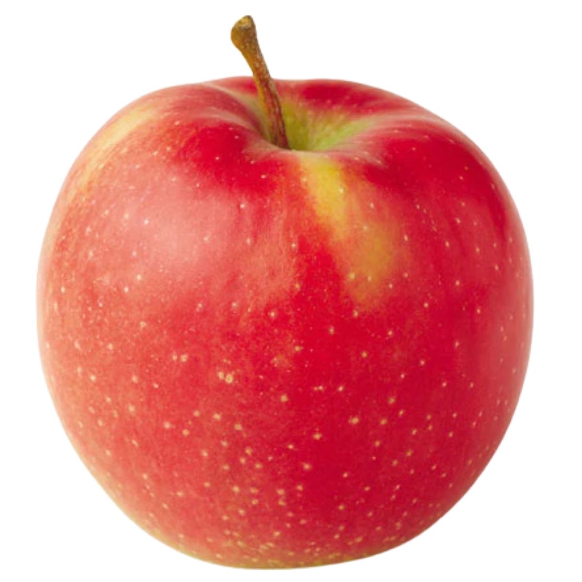Red apple with a yellowish blush on a white background
