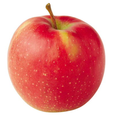 Red apple with a yellowish blush on a white background