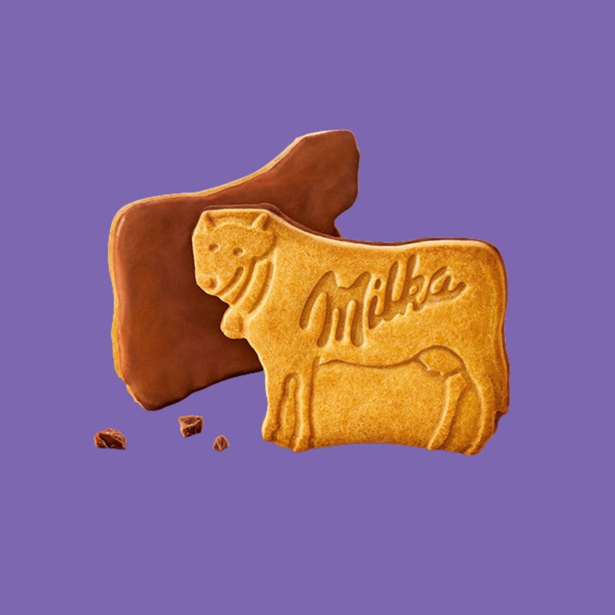 Two Milka Choco Cow Biscuits—one plain and one coated in Alpine milk chocolate—sit on a purple background with small chocolate pieces, showcasing the Milka Choco Cow Biscuit 120g pack.