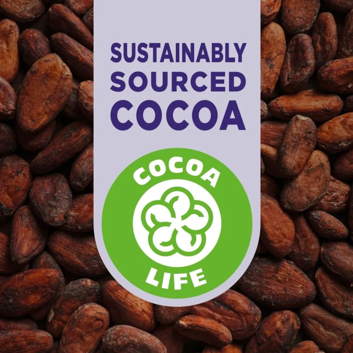 A pile of cocoa beans features a "Sustainably Sourced Cocoa" label and a green "Cocoa Life" logo, emphasizing the quality behind Milka Choco Cow Biscuit (120g) and other Milka European chocolate treats.