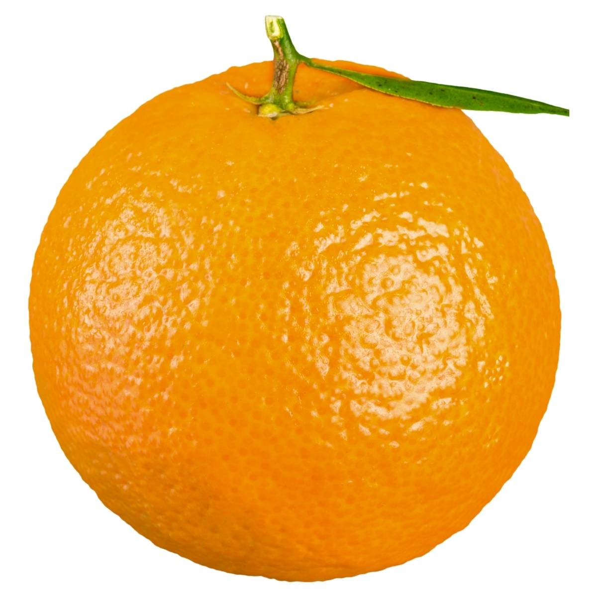 Orange with a green stem on a white background