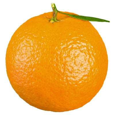 Orange with a green stem on a white background