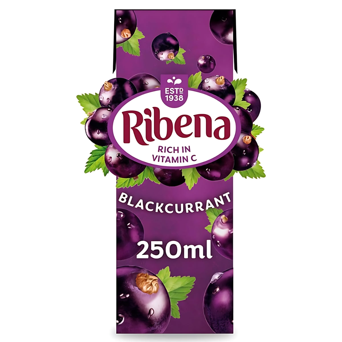 A 250ml Ribena - Blackcurrant Juice Drink Carton with "Rich in Vitamin C" labeled on the front. The packaging is purple with images of blackcurrants and green leaves.