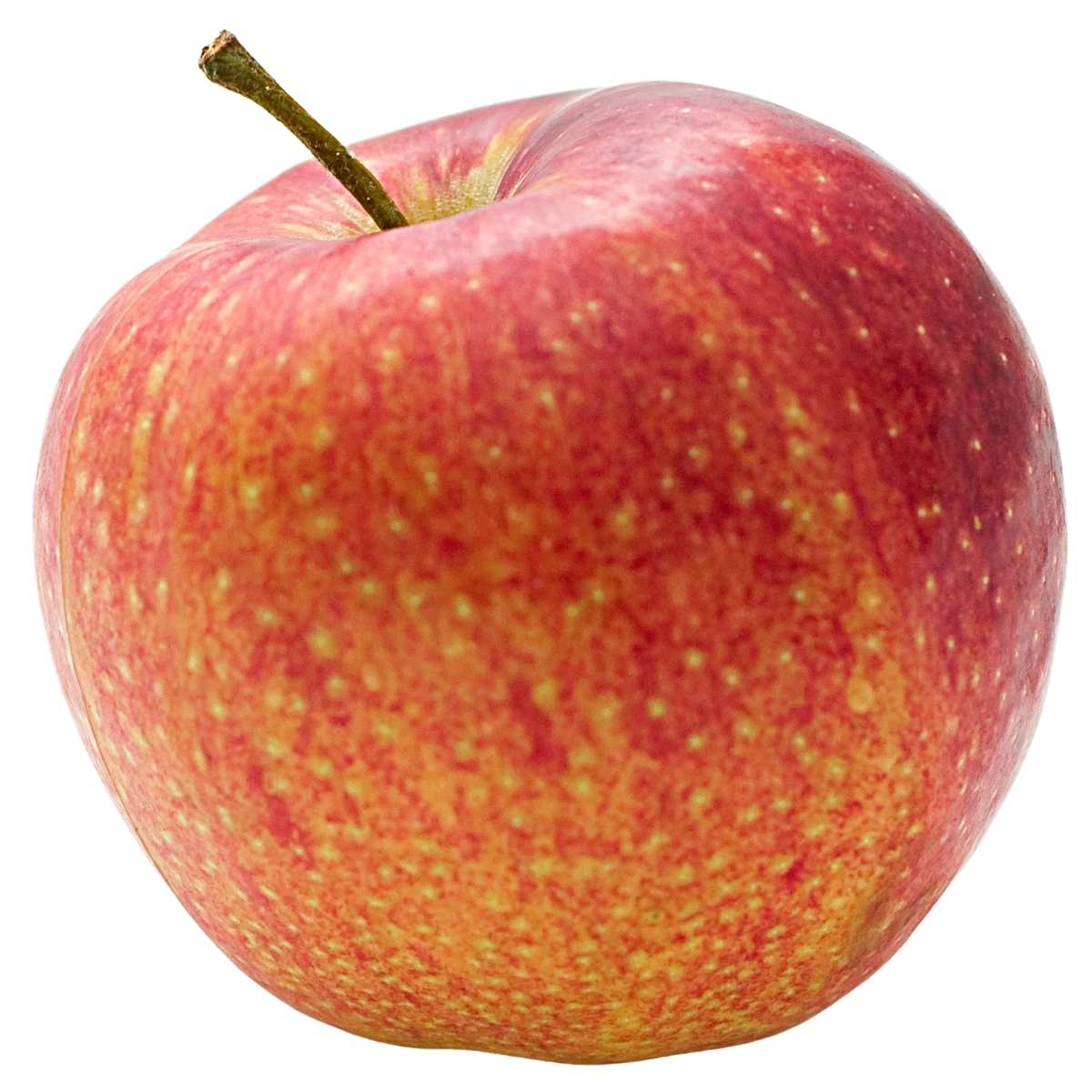 Red apple with a yellowish tint on a white background
