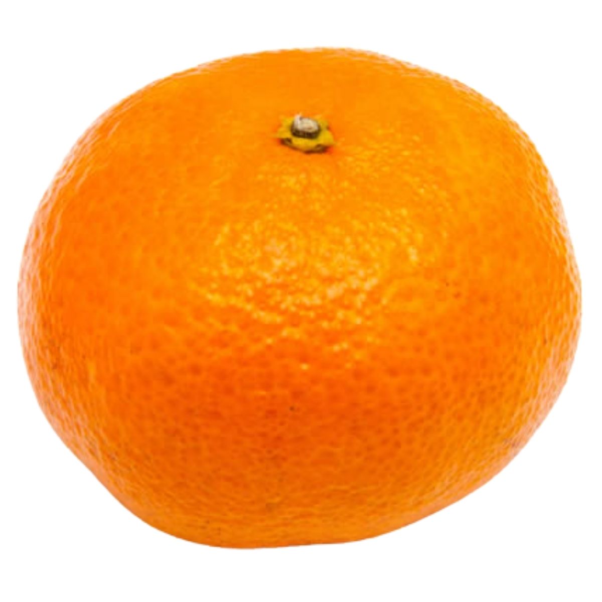 Satsuma on a white background