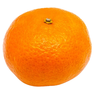 Satsuma on a white background